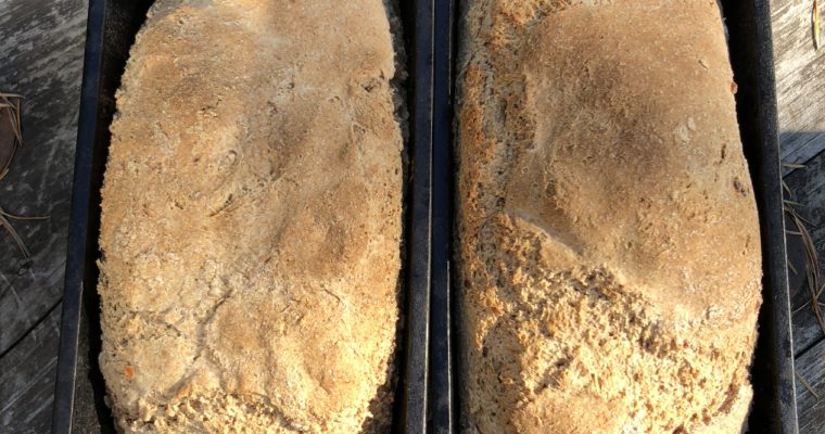 Honey Kefir Sandwich Loaf  (Ancient Grains, Nut-Free)