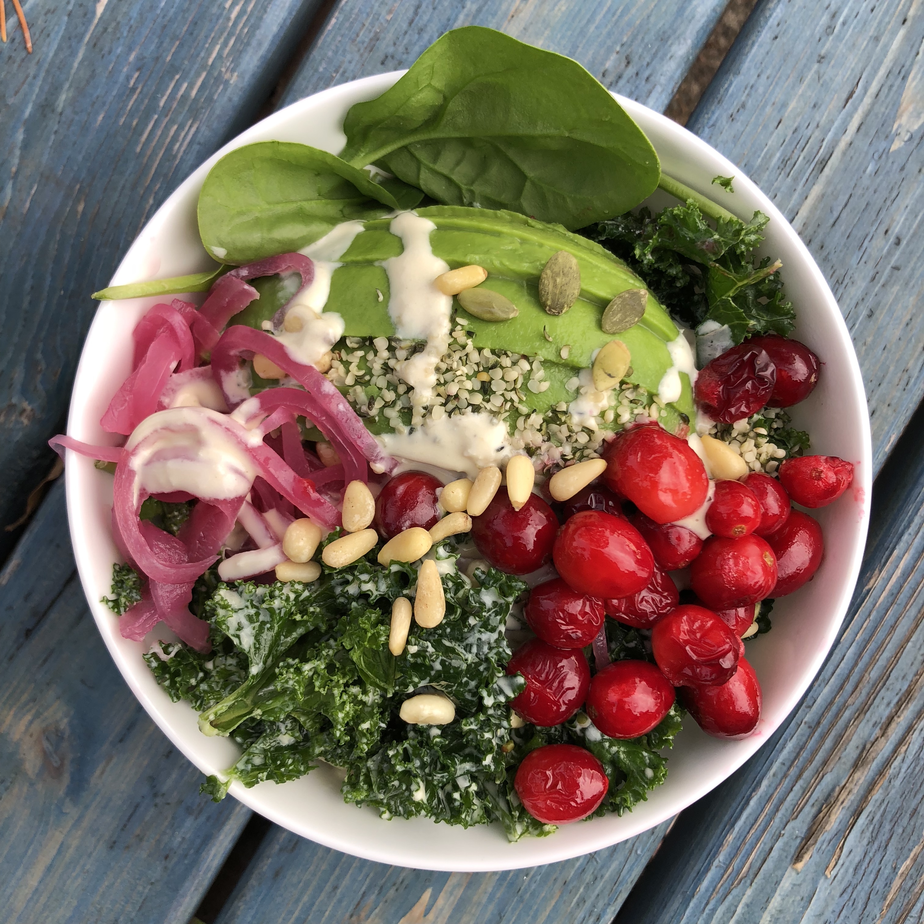 Tahini, Kale & Cranberry Winter Omega Superfood Salad (Vegan & Paleo)