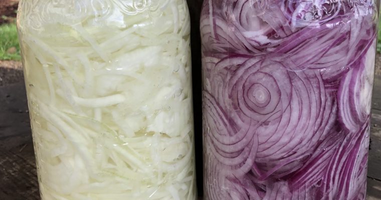 Fermented Onions for Troubleshooting Tricky Cultures…