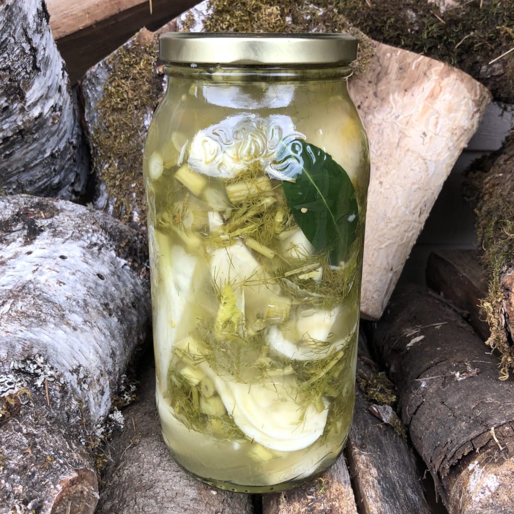 Fermented Fennel, A Simple Adaptation (vegan, paleo, keto) Brenna May