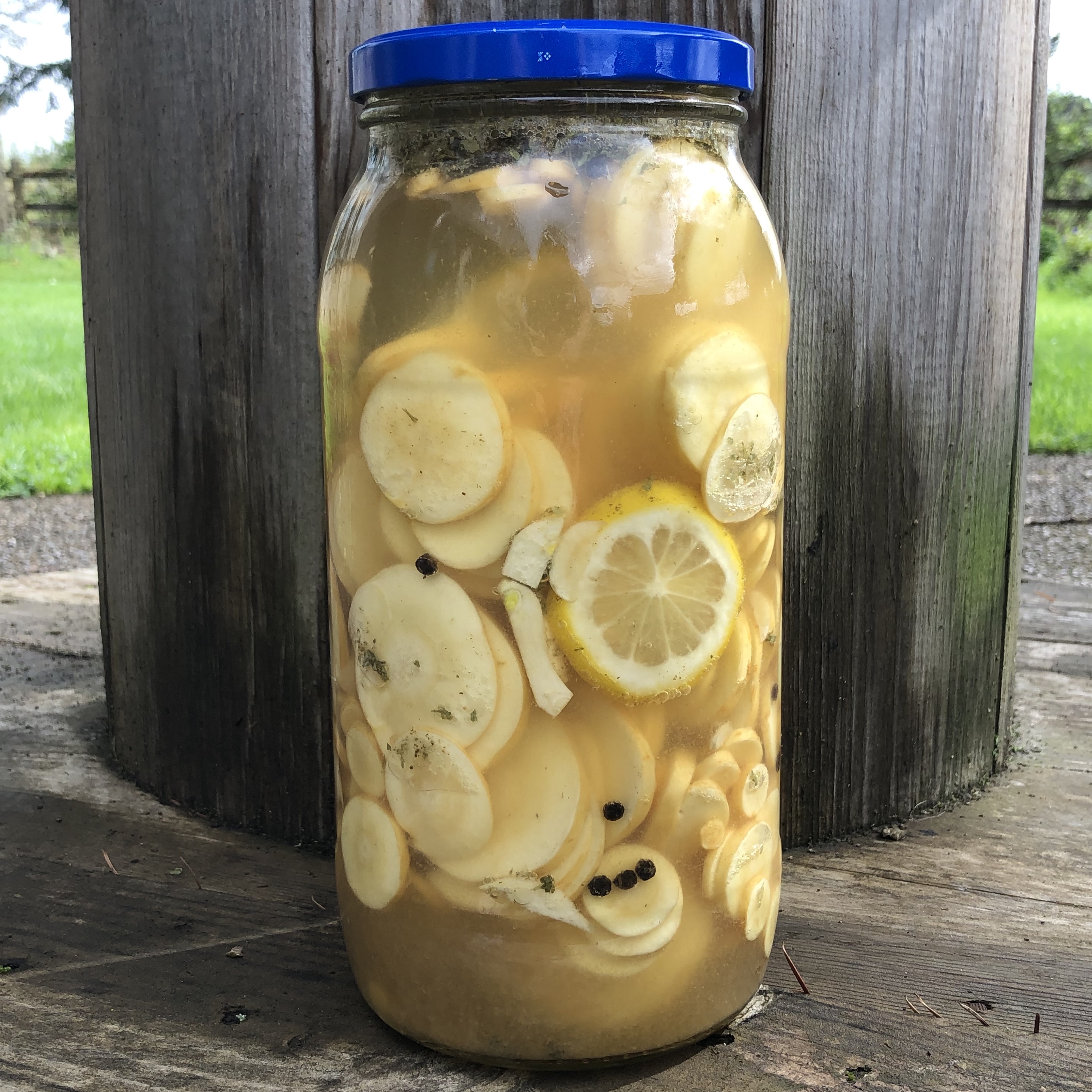 Fermented Parsnips with Lemon, Ginger & Peppercorns (vegan, paleo, keto)