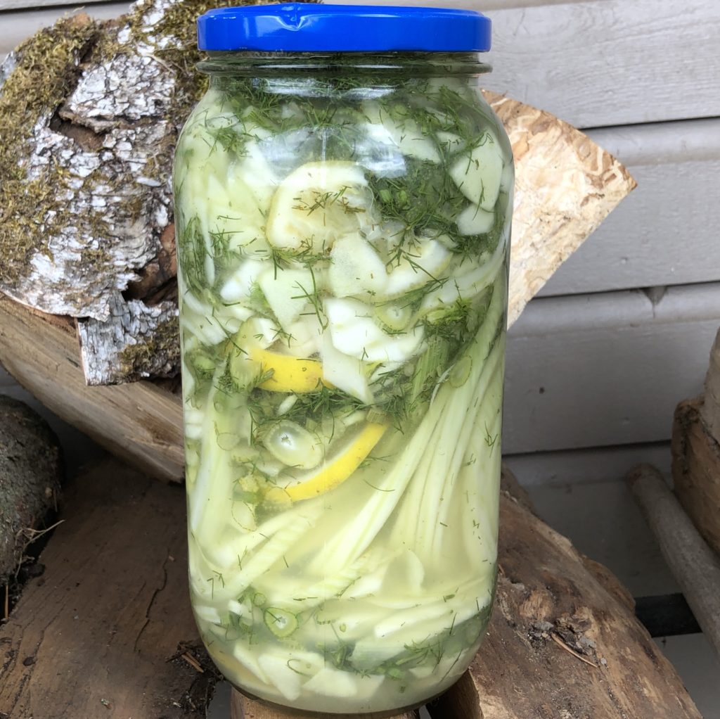 Apple, Ginger, Lemon & Fennel Cultured Salad (vegan, paleo, keto