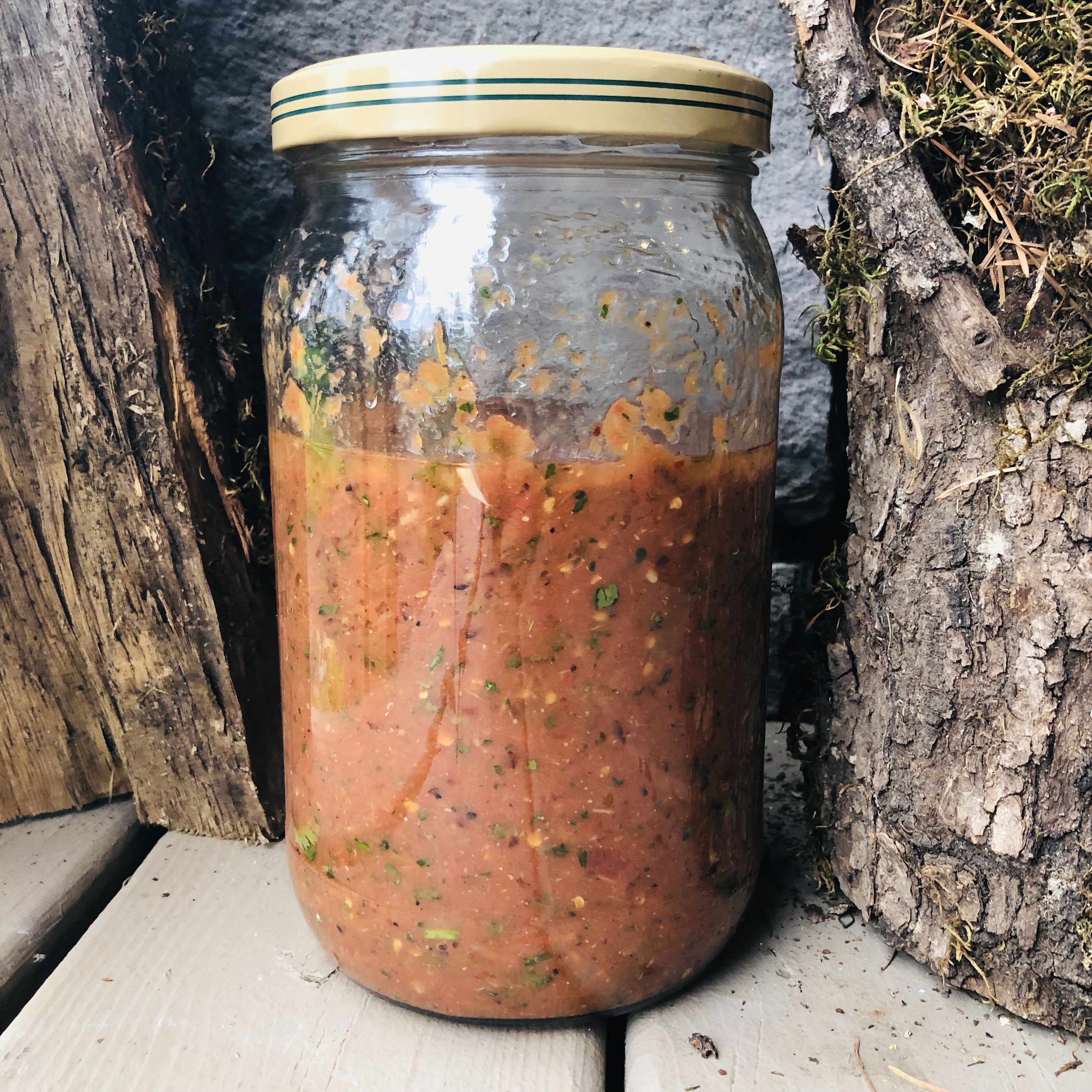 Fermented Roasted Tomato Salsa (vegan, paleo, keto)