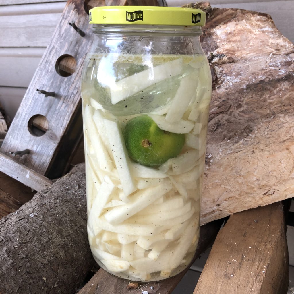 Fermented Jicama with Lime & Pepper (vegan, paleo, keto) Brenna May