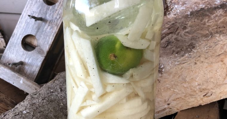 Fermented Jicama with Lime & Pepper (vegan, paleo, keto)