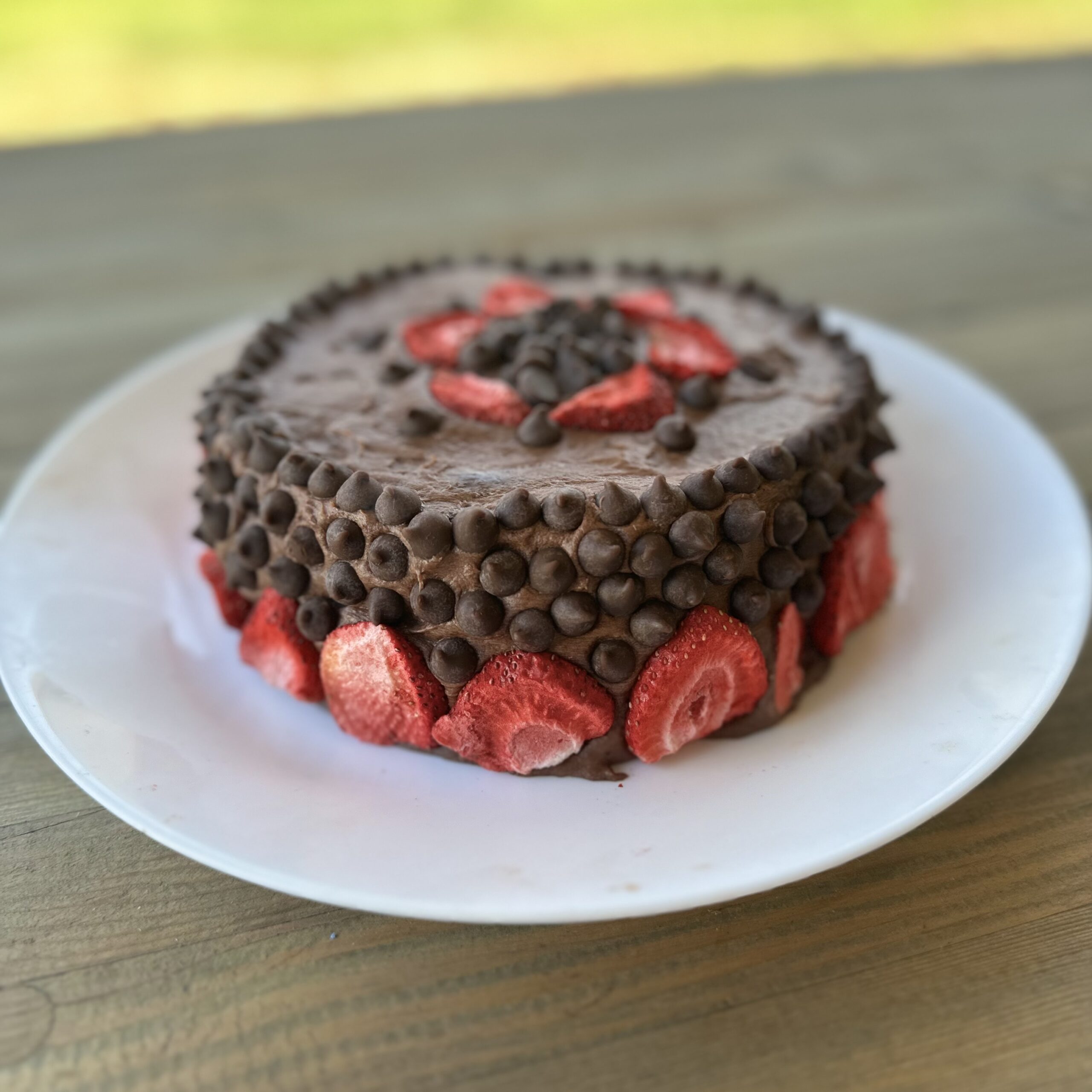 Eva’s Fudge Surprise Cake (Keto)