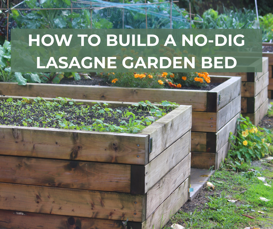 How to Build a No-Dig Lasagna Garden Bed