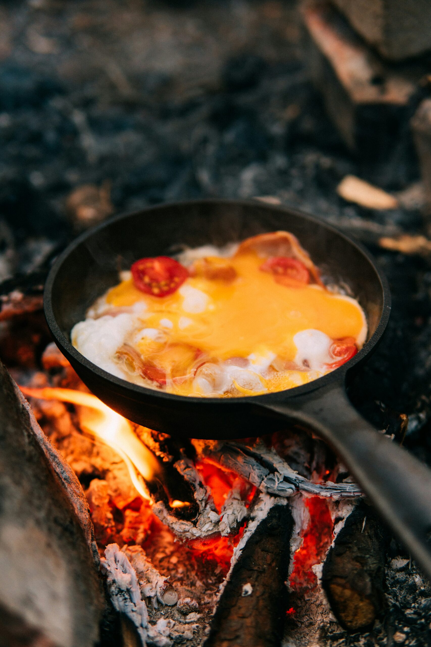 Protein Timing & Quality: The Real Energy Reset